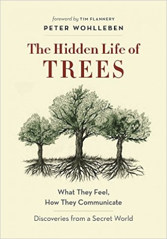 Hidden Life Trees